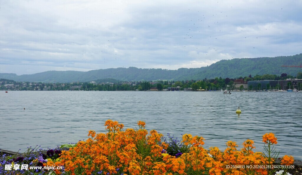 湖畔橙花绽放美景