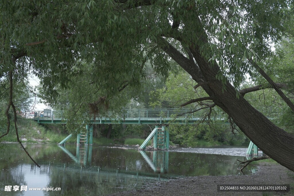 河畔垂柳下的绿色小桥