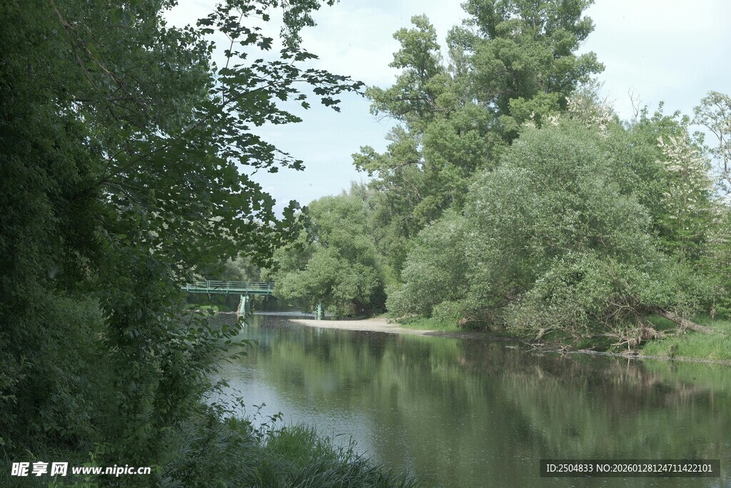 河畔绿树环绕的宁静水道