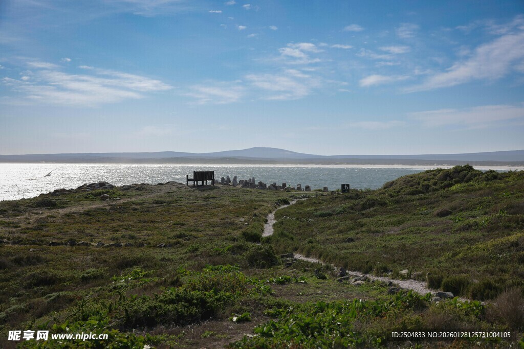 海岸边的草地与蜿蜒小径