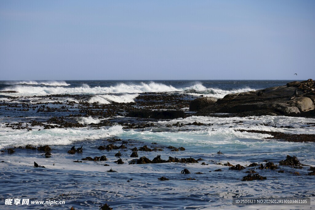 海岸边海浪拍打礁石景观
