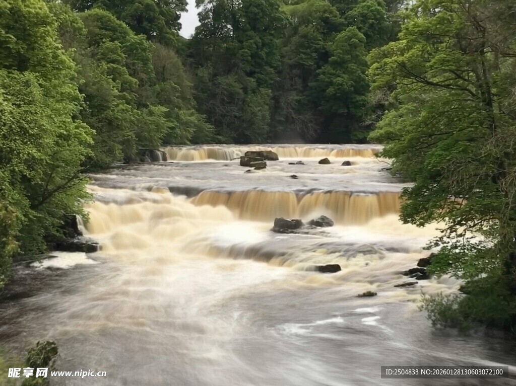 湍急河流穿林而过