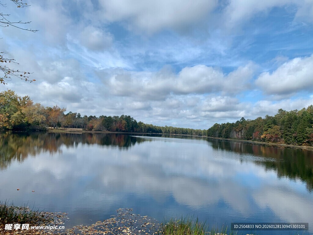 宁静湖水映蓝天树林美景