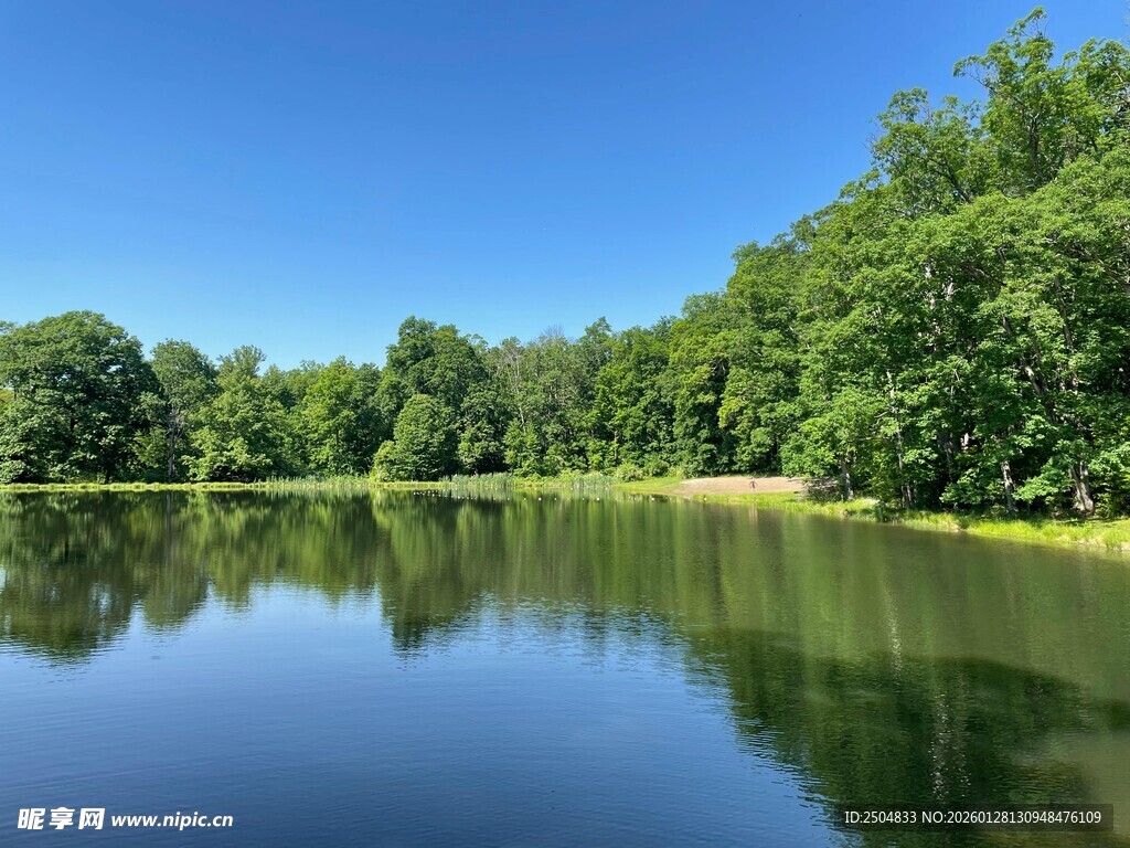 宁静湖畔绿树倒影美景