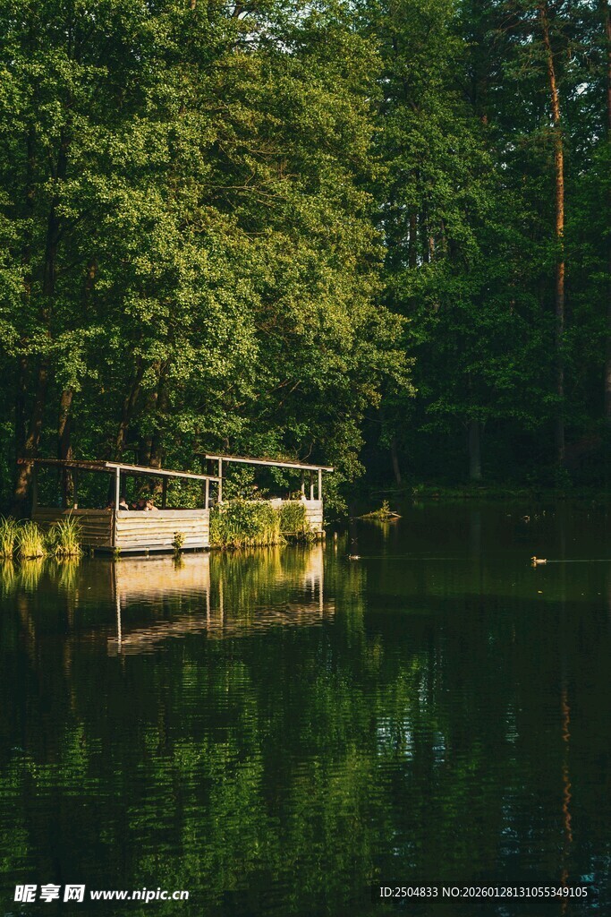 静谧湖畔的林间倒影