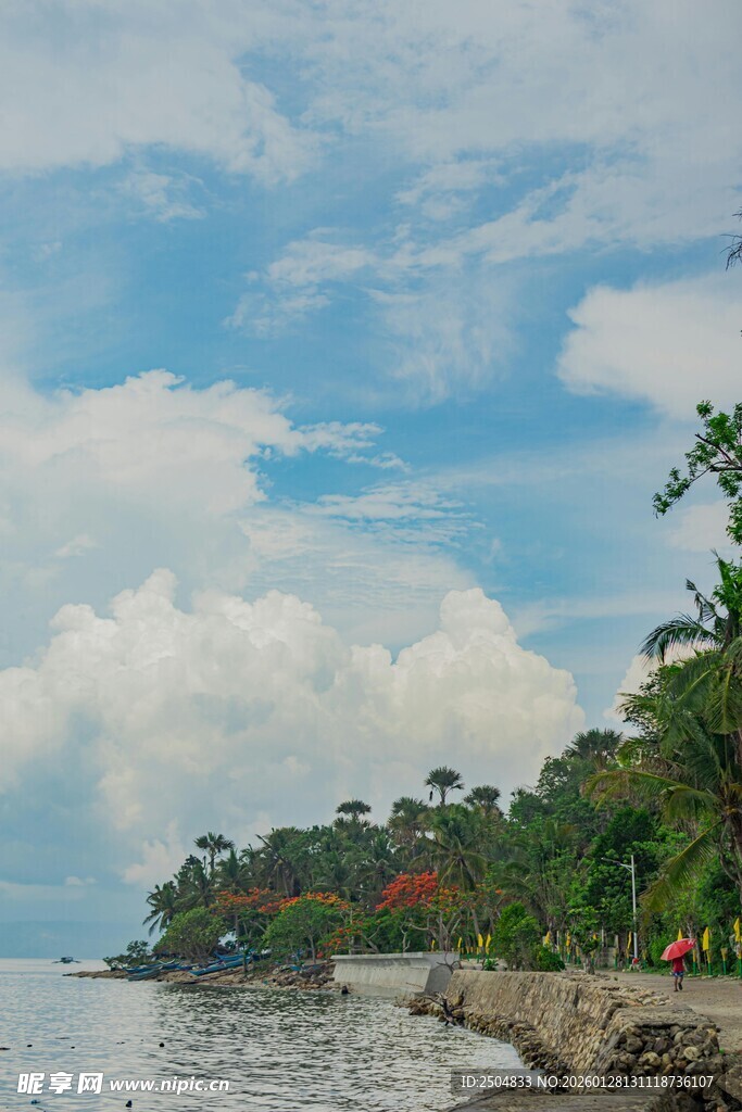 海滨风光 绿树环绕的宁静岸线
