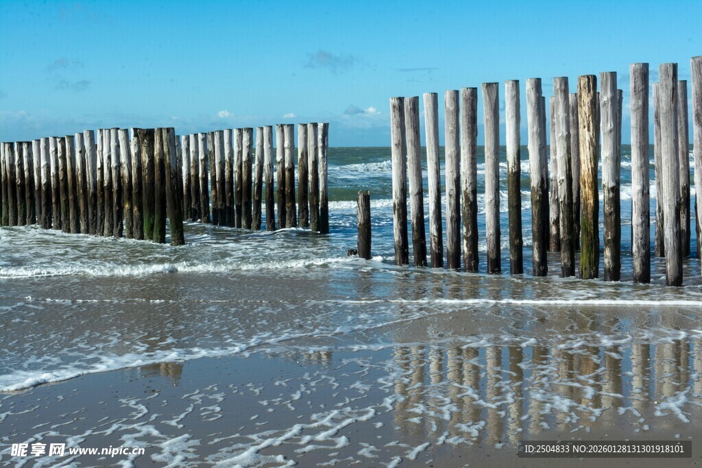 海边木桩防波堤景观