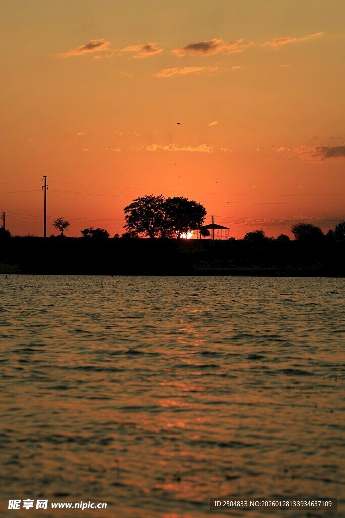 夕阳下的水面与远处树木