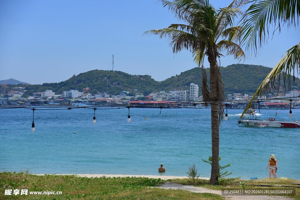海滨美景 棕榈树下的惬意