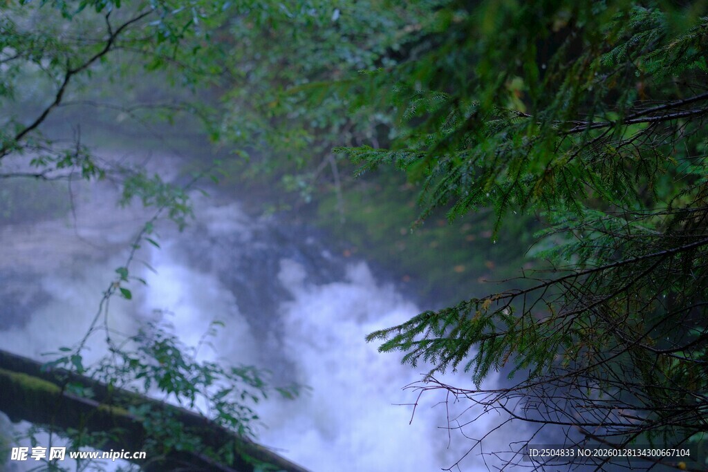 山林间的潺潺溪流