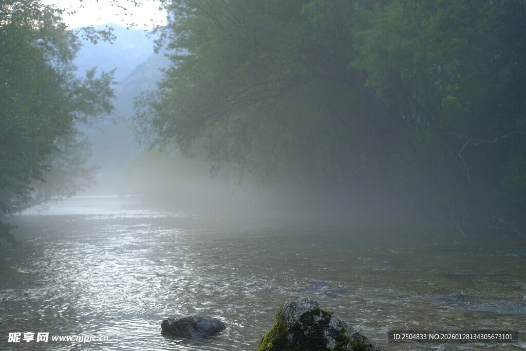 晨雾中的静谧溪流