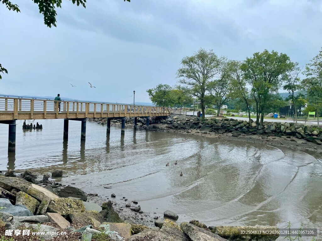 海边栈桥与潮间带景观