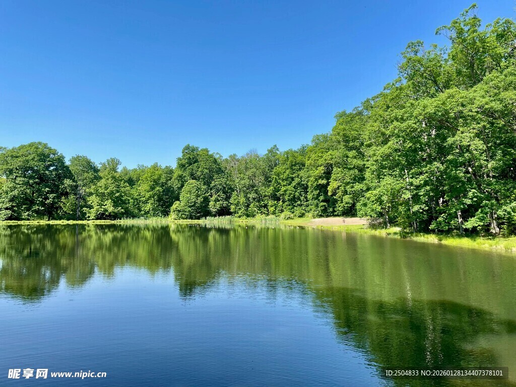 宁静湖畔绿意盎然