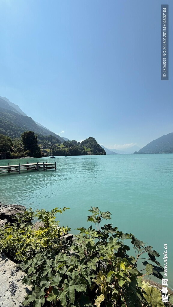 湖畔美景 绿意与碧水相映