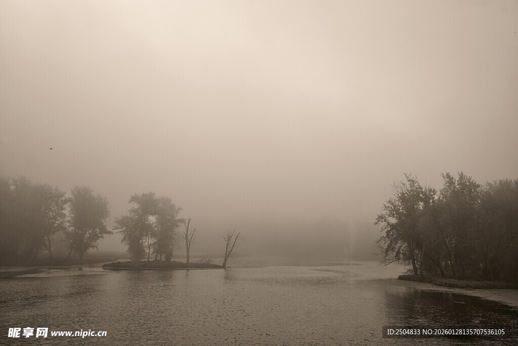 雾中河畔景色