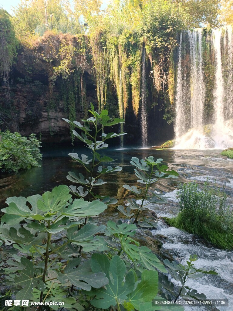 自然瀑布旁的繁茂绿植景观