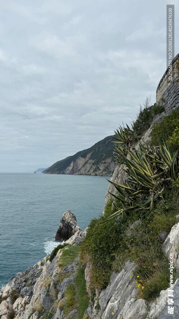 海岸边的嶙峋峭壁与绿植
