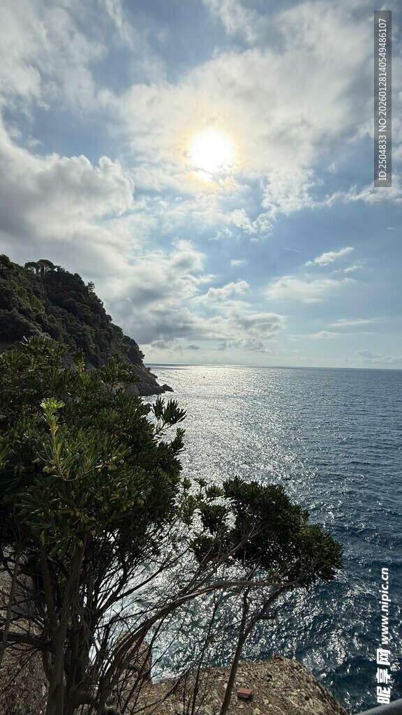 海岸边的繁茂树木与海景
