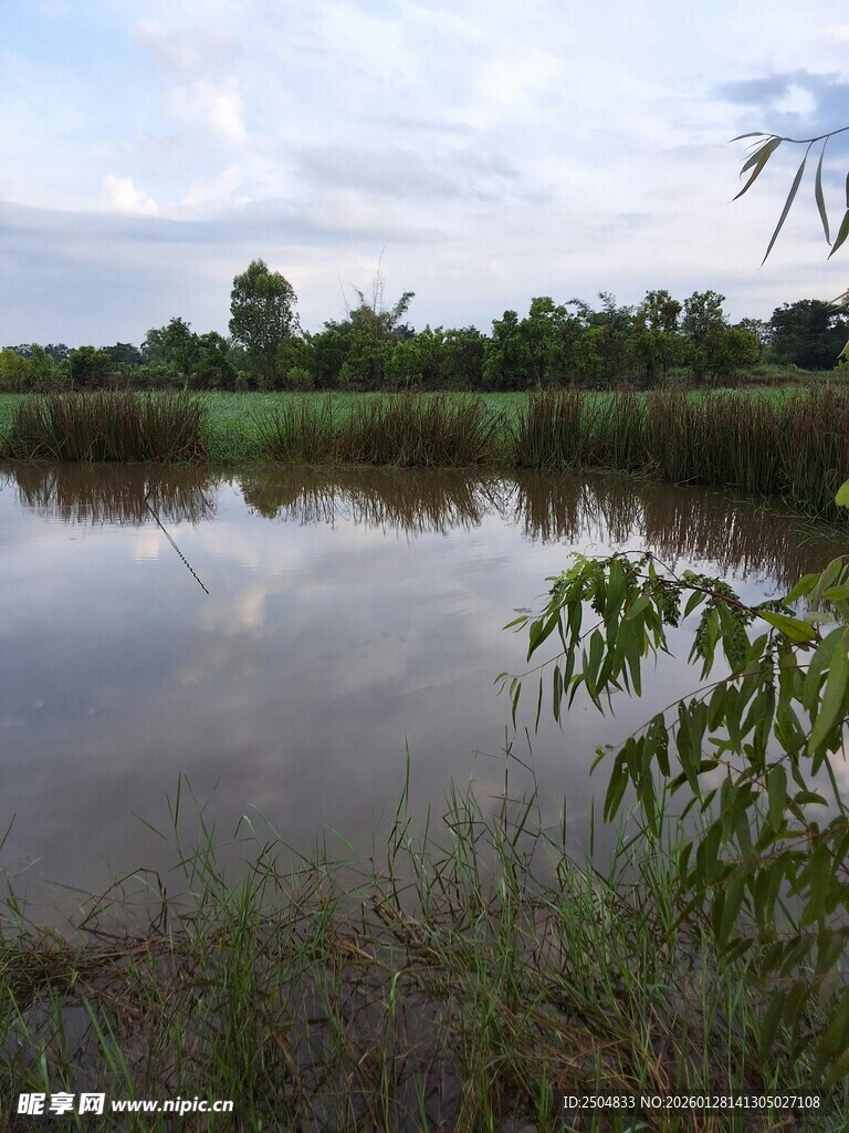宁静乡村池塘风景图