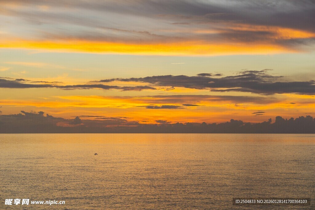 海上壮丽日出美景