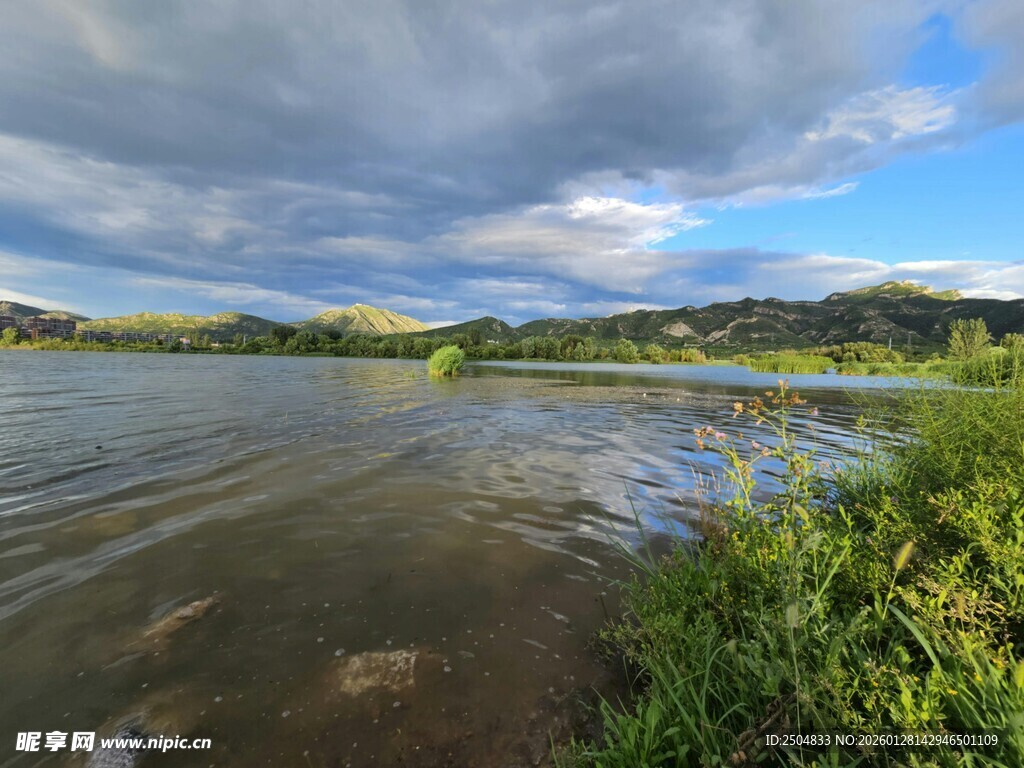 湖畔风光 水草与蓝天相映