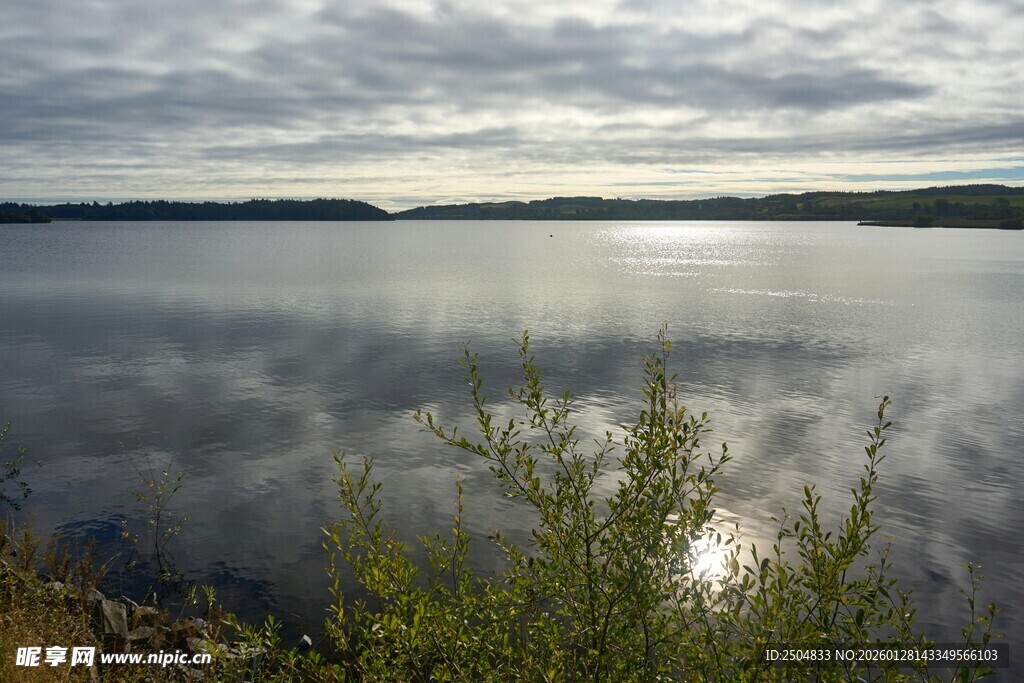 宁静湖面与岸边绿植景观