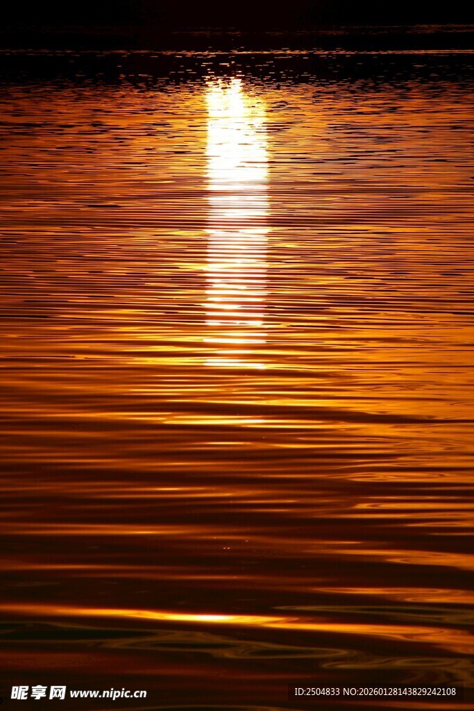 水面上的金色光影