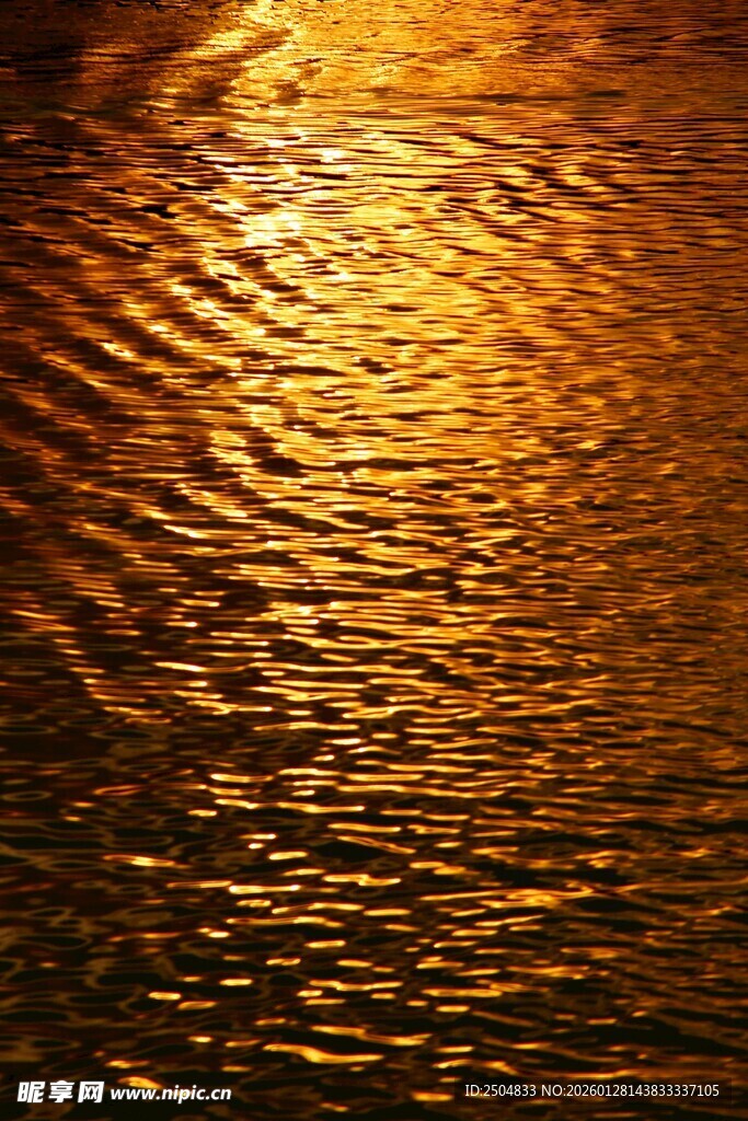 金色水波