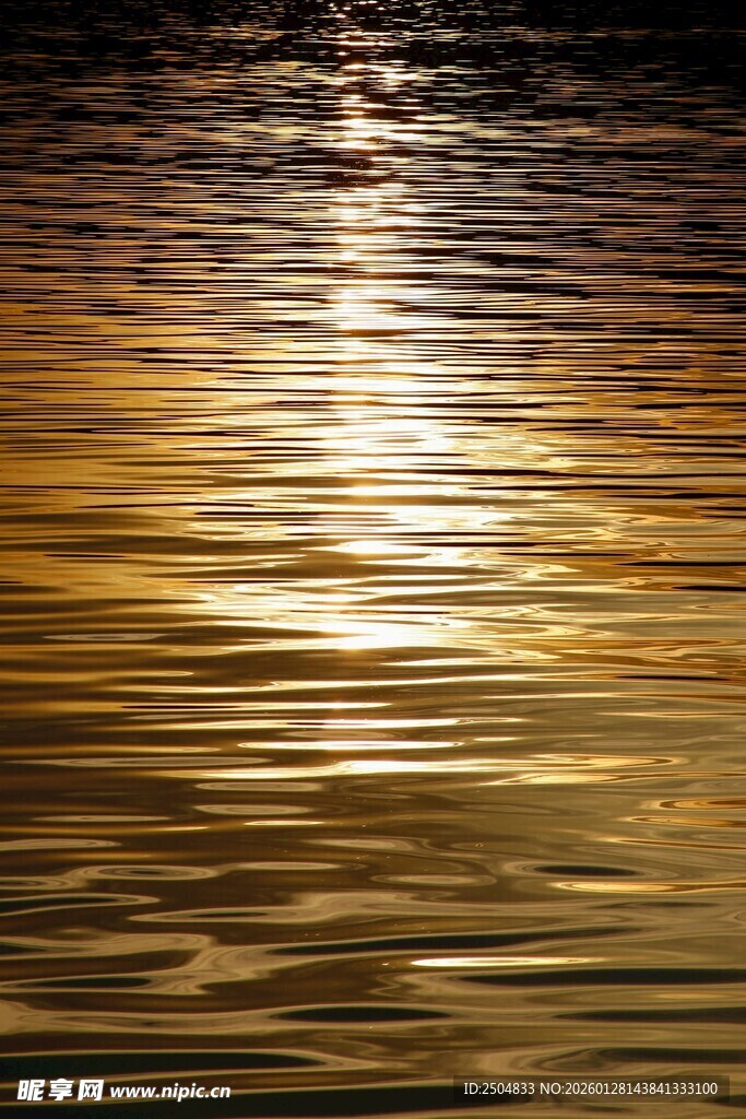 金色波光粼粼的水面