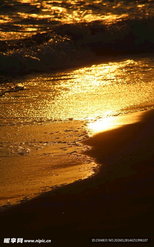 夕阳下的金色海滩美景