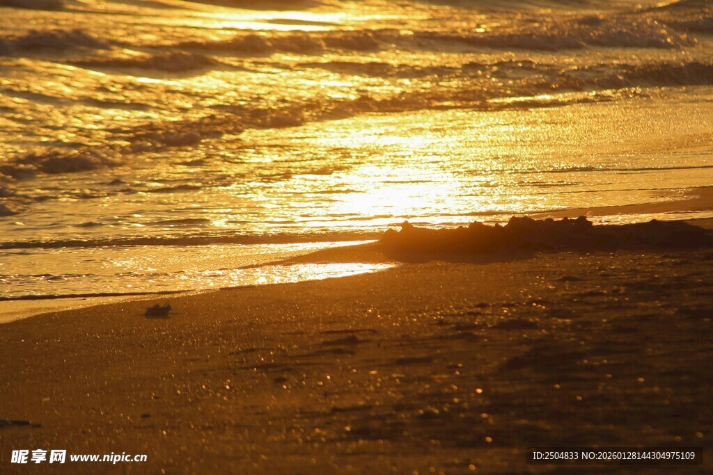 夕阳下的金色海滩美景