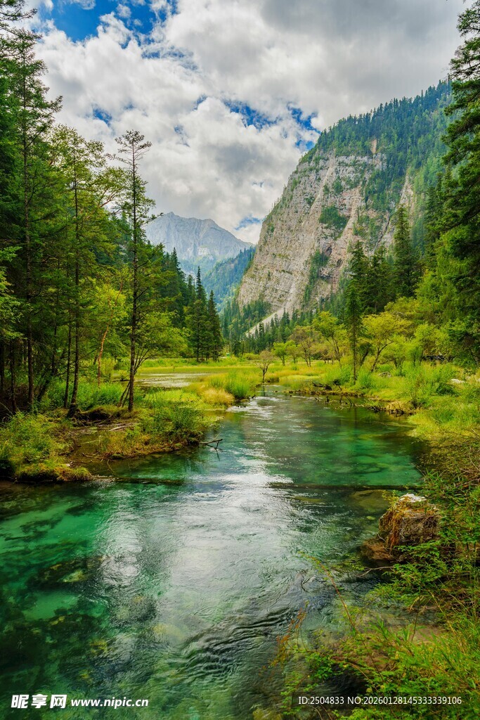 山间碧绿水畔秀丽风光