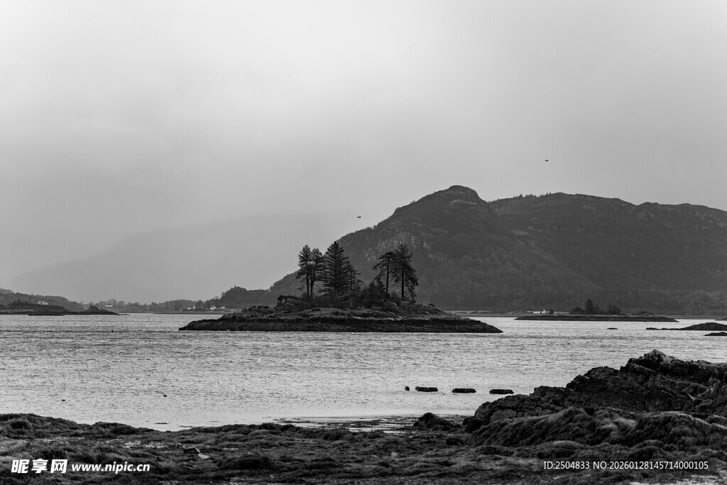 黑白海岸边的孤耸岩石