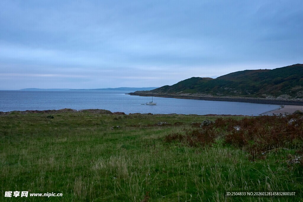 海边草地的宁静风光