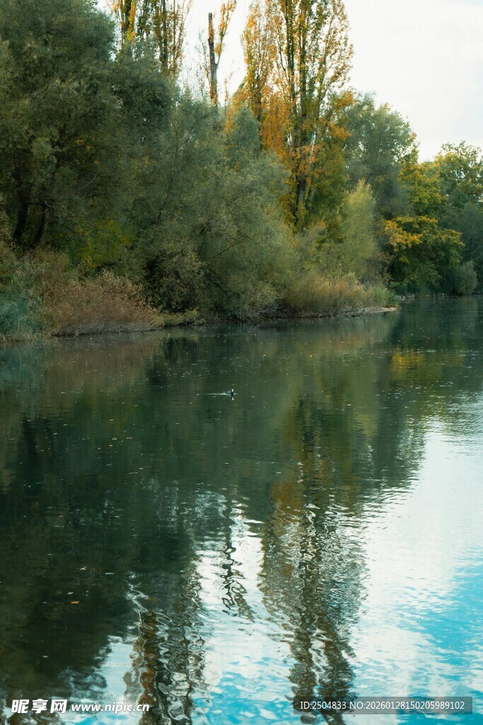 宁静湖畔的自然美景