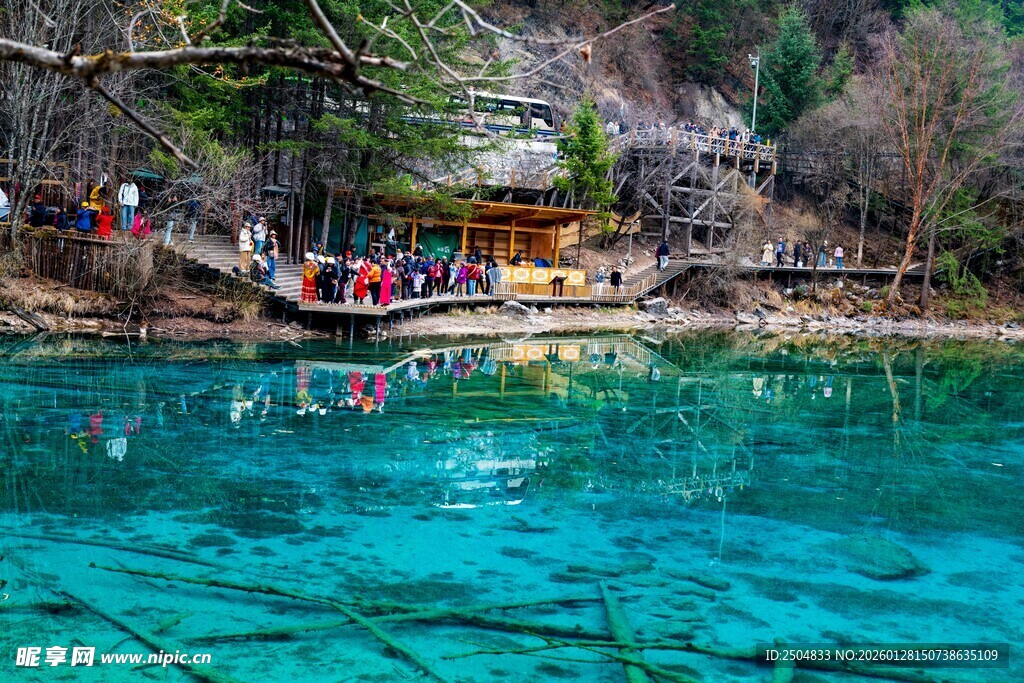 清澈蓝湖中的戏水 客