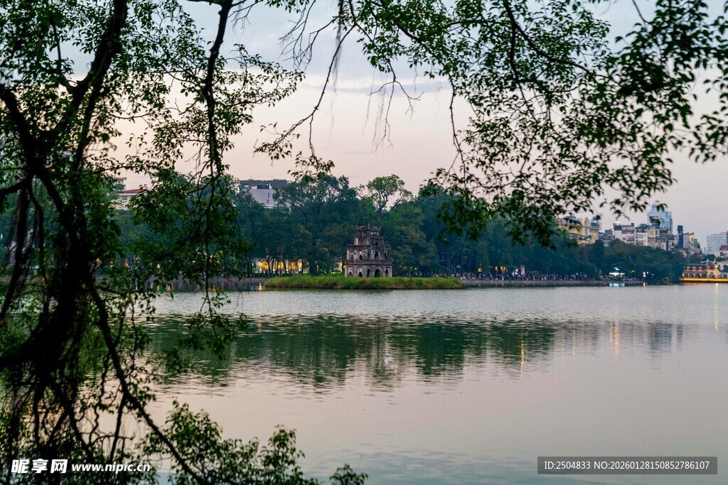 湖畔树林的静谧风光
