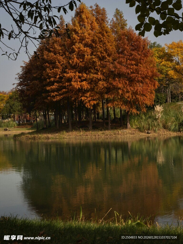 秋日湖畔斑斓树林美景