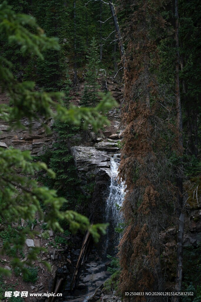 山林间的潺潺小瀑布