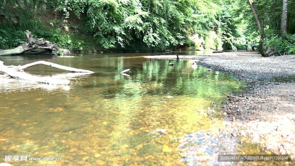 宁静溪边的自然景致