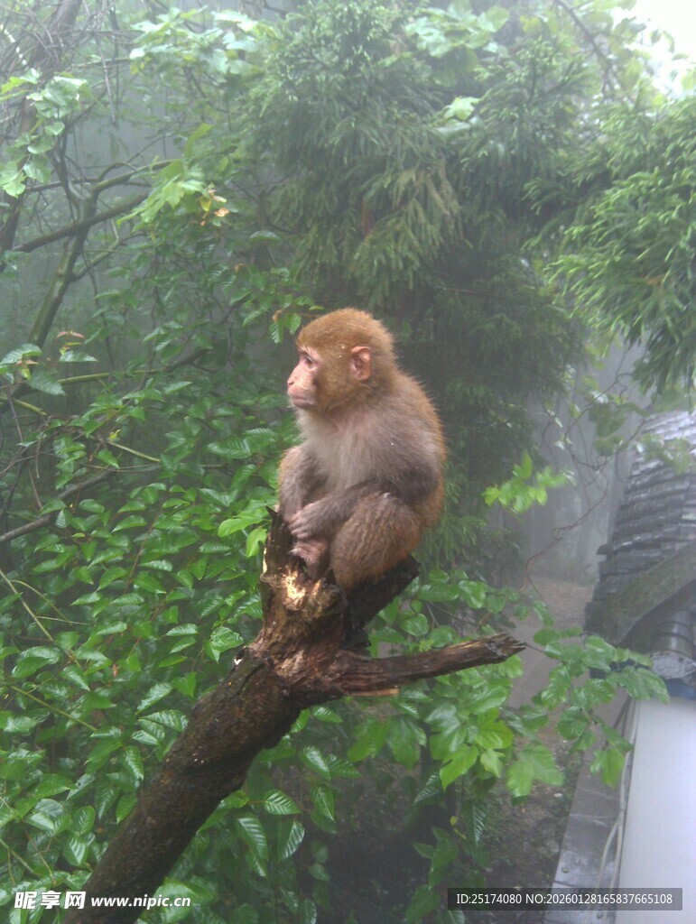 大美高台  相望