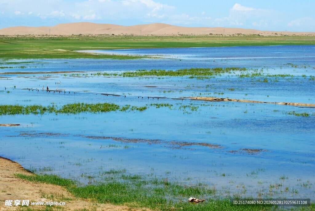 大美高台  湿地风景
