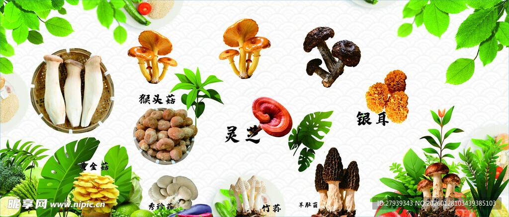 森林中的多彩蘑菇与小动物