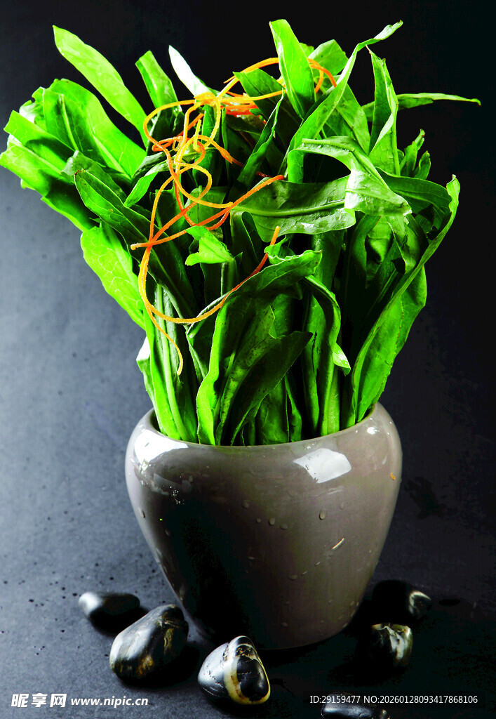 花瓶中翠绿植物与石头点缀