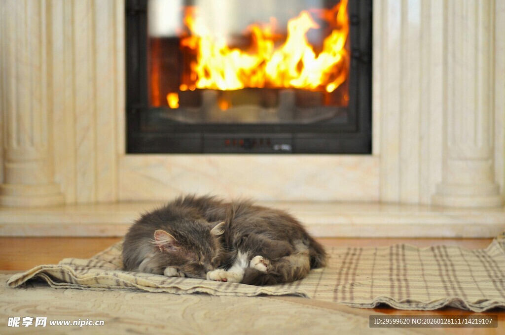 壁炉旁安睡的可爱猫咪