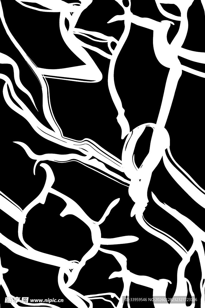 黑白线条抽象艺术图案