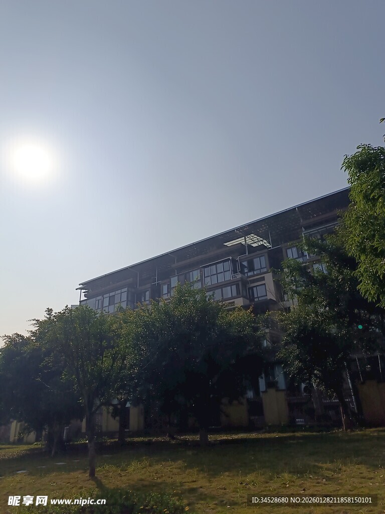 阳光下的校园建筑景观