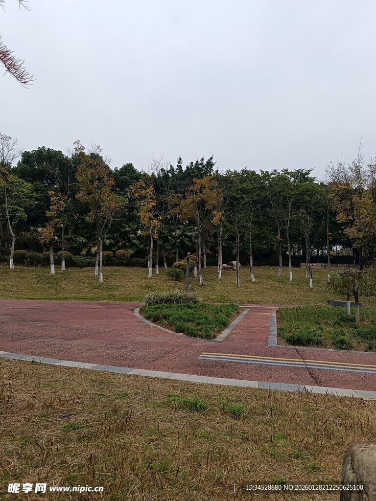 公园户外景色优美步道