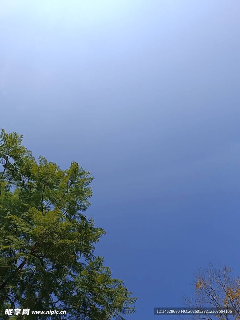 蓝天绿树的清新景致