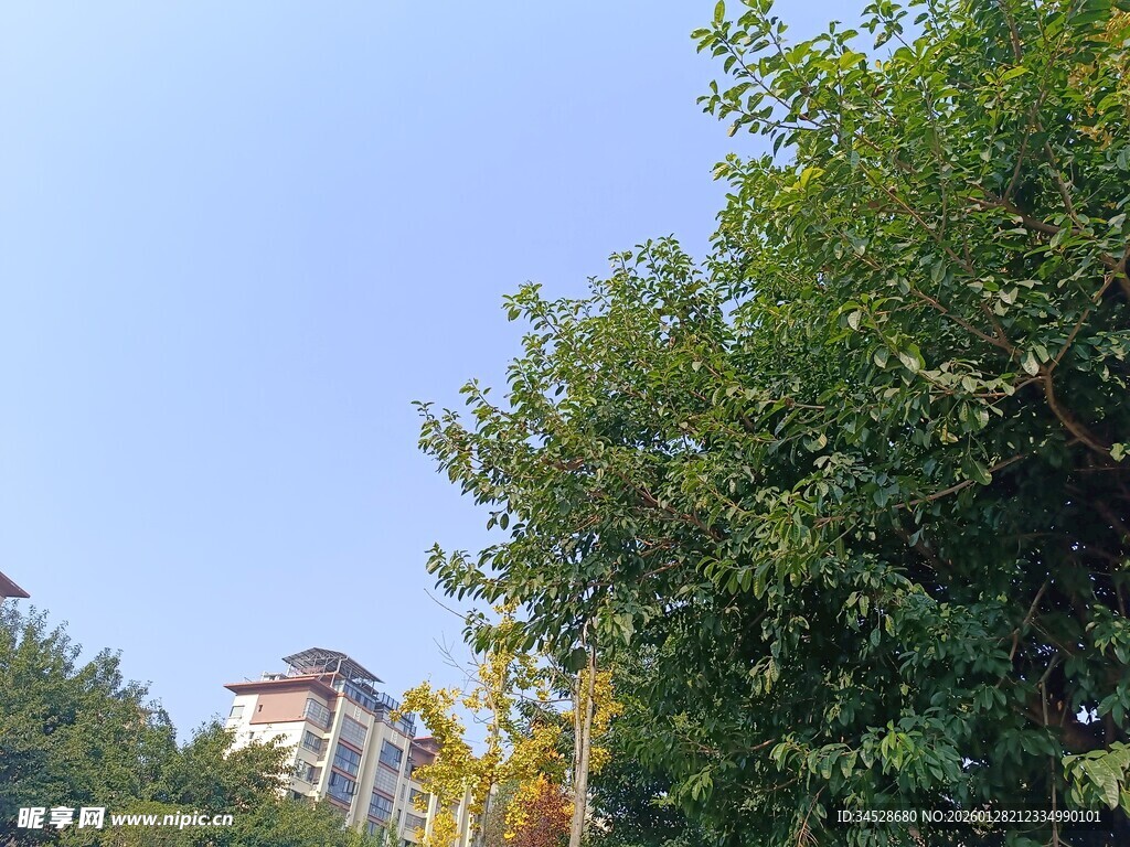 绿树掩映下的建筑一角